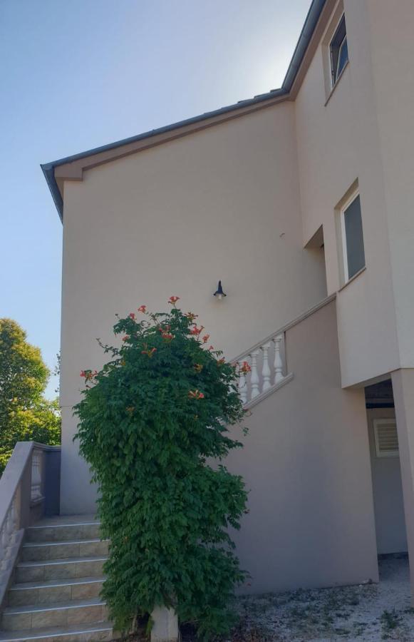 דירות ביבינייה House Aurora מראה חיצוני תמונה